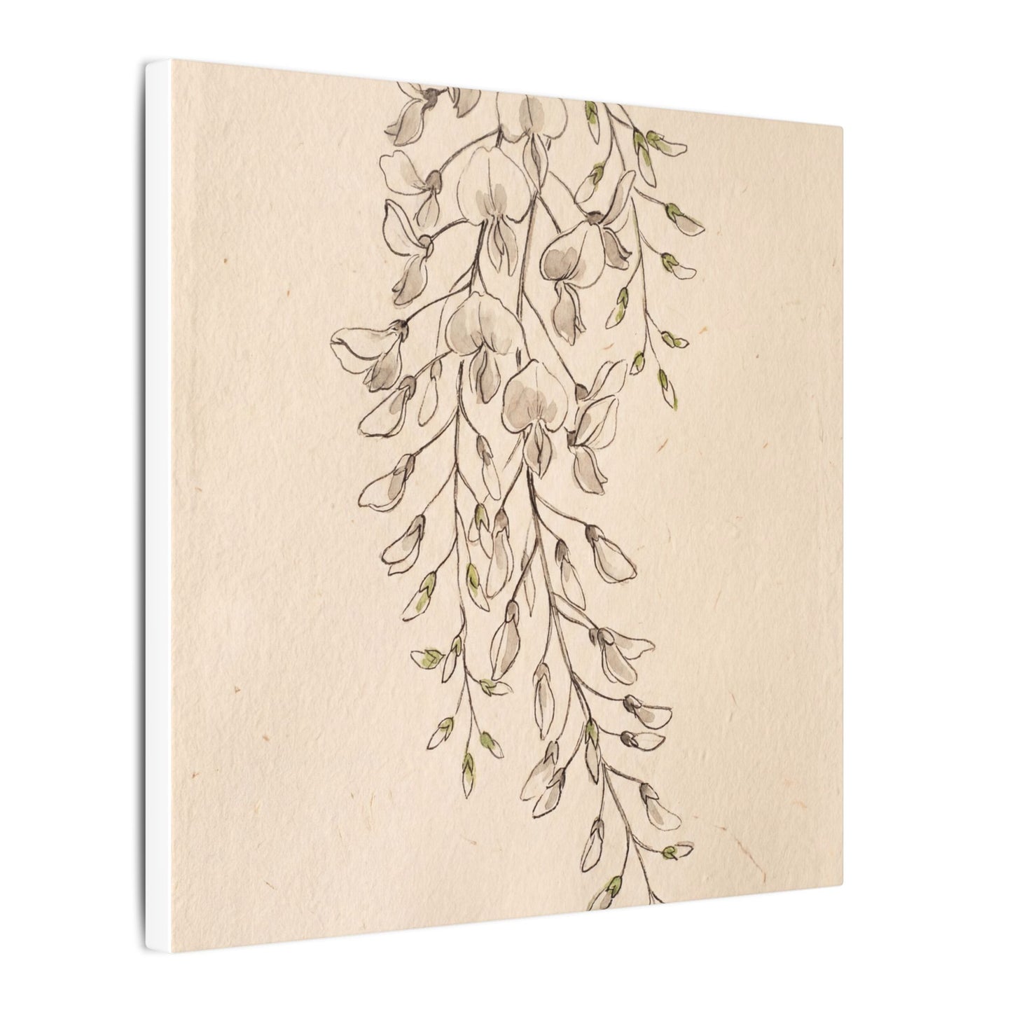 Japandi Wisteria in Golden Hour | Minimal Line Canvas Art