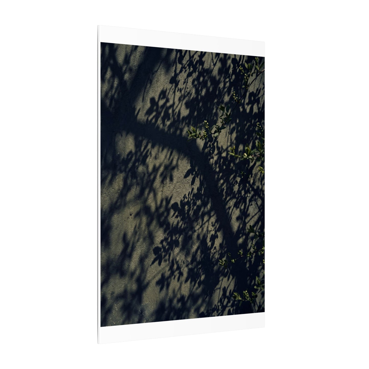 Atmospheric Shadow Play Canvas Art - Moody Minimal Dark Japandi