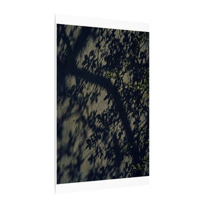Atmospheric Shadow Play Canvas Art - Moody Minimal Dark Japandi