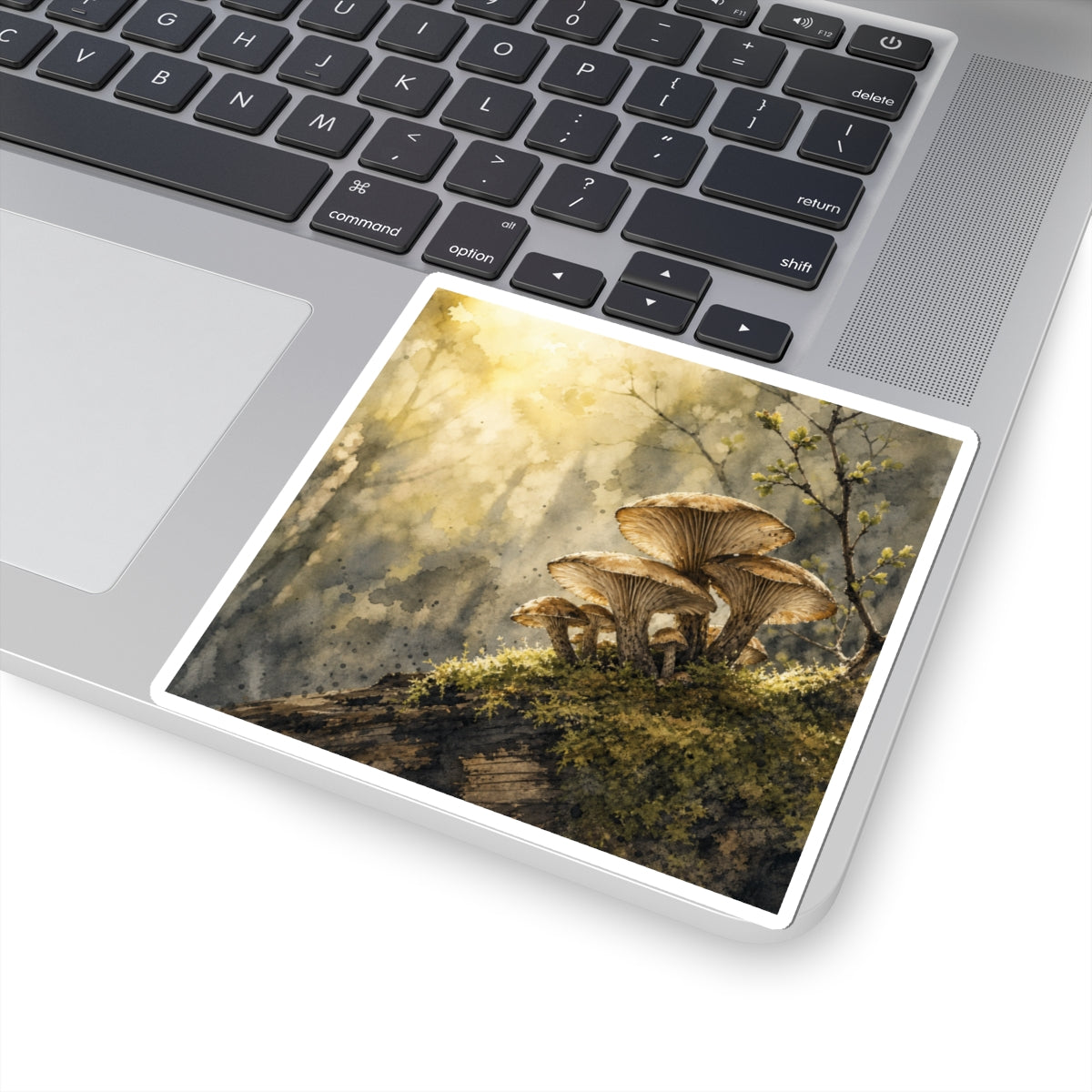 Golden Hour Wild Mushrooms Sticker - Japandi Ma