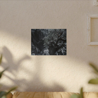 Dark Japandi Pine Tree in Dappled | Dark Texture Canvas Art