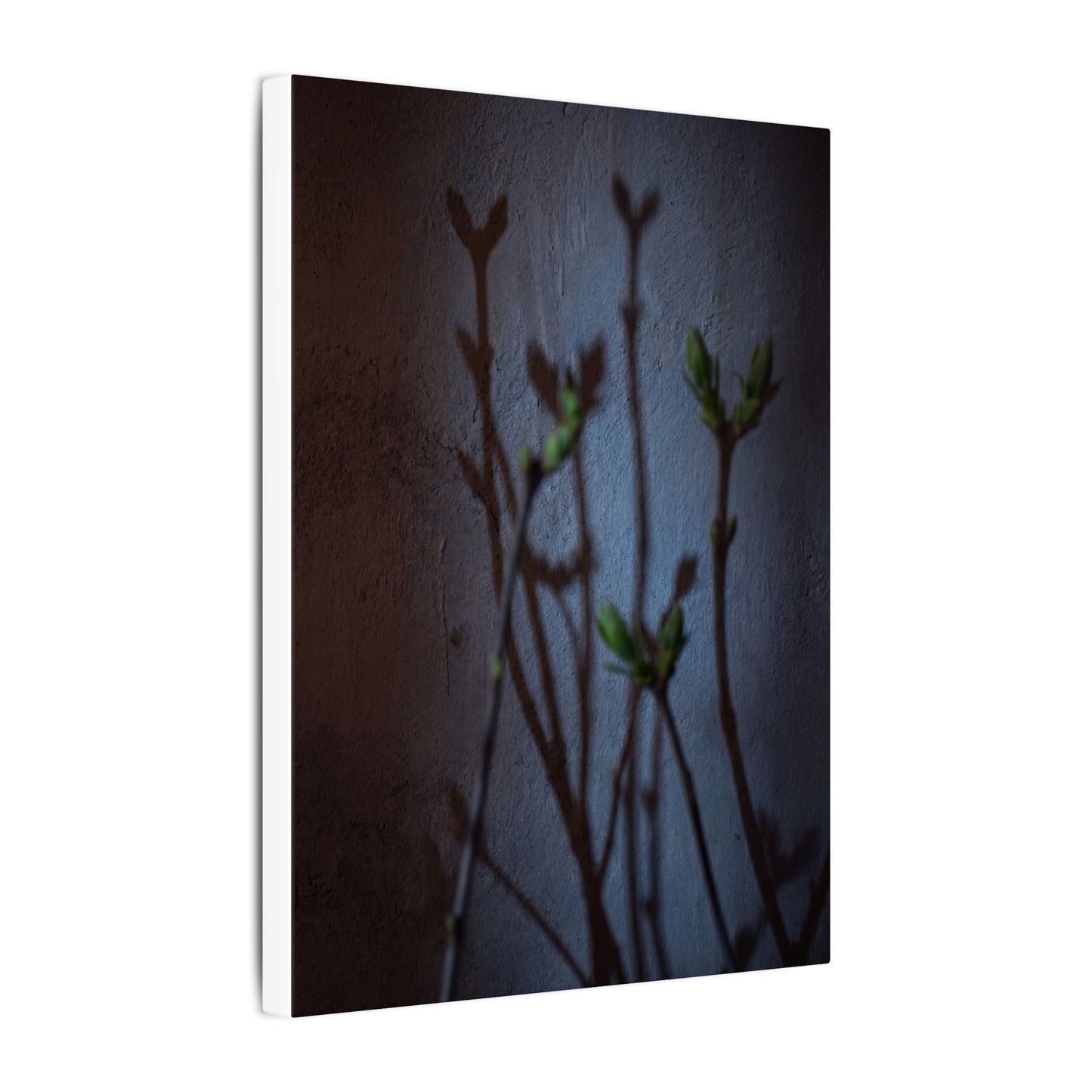 Shadow Play Spring Canvas Art | Dark Japandi Sophisticated Design