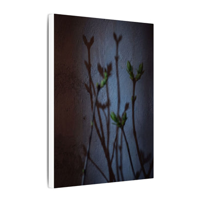 Shadow Play Spring Canvas Art | Dark Japandi Sophisticated Design