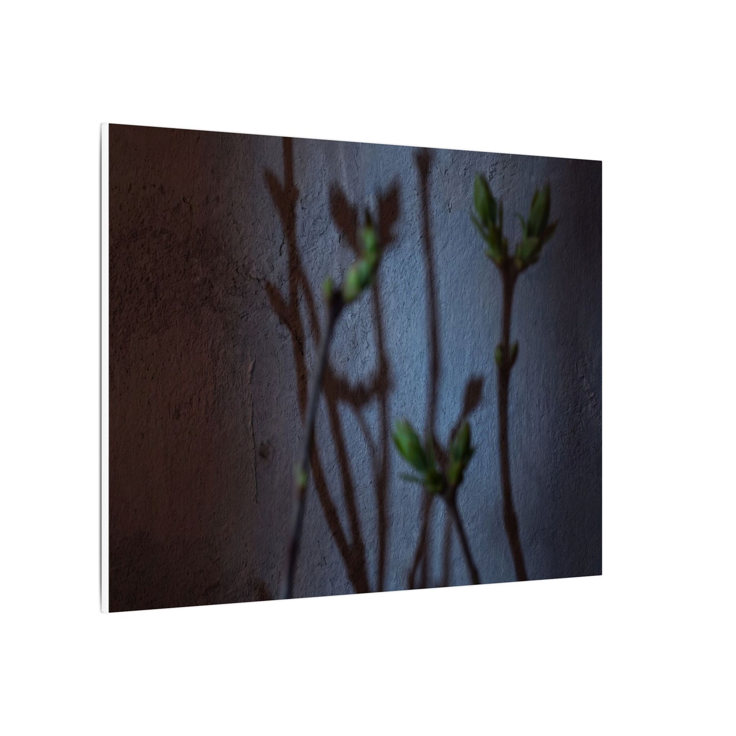Shadow Play Spring Canvas Art | Dark Japandi Sophisticated Design