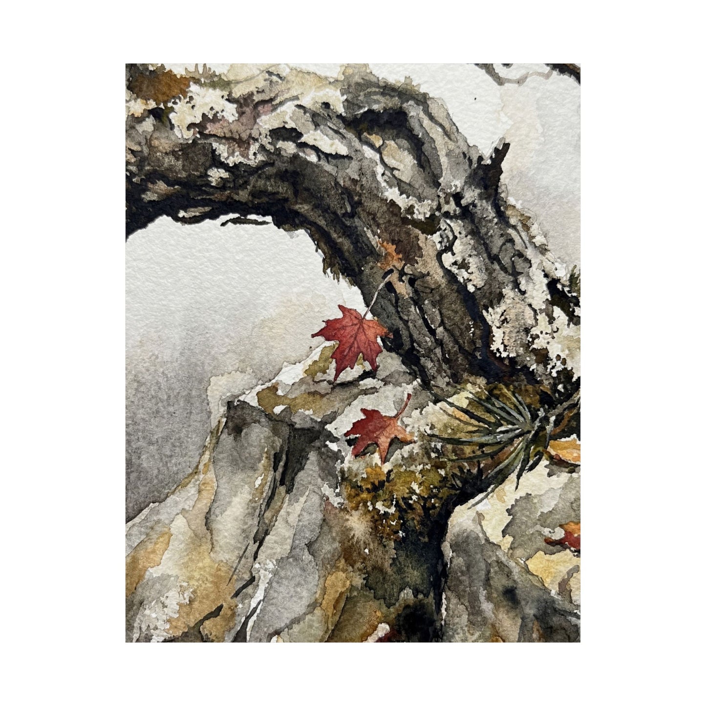 Autumn Pine Tree Watercolor Wall Art Print | Elegant Decor