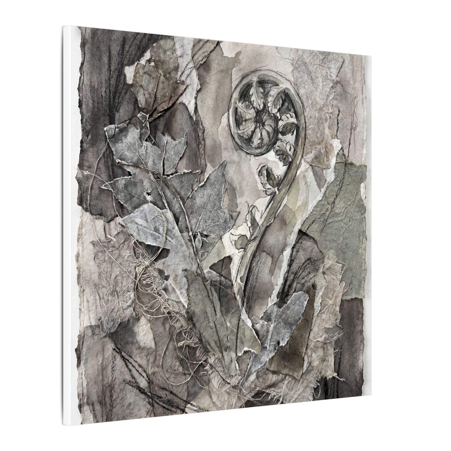Japandi Fern Unfurling in Overcast | Texture Canvas Art