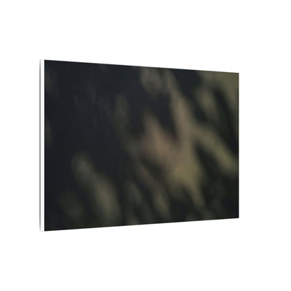 Dappled Shadow Play Canvas Art - Dark Japandi Ma