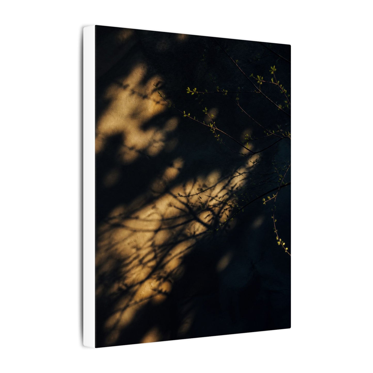 Moody Shadow Play Canvas Art - Moody Minimal Dark Japandi