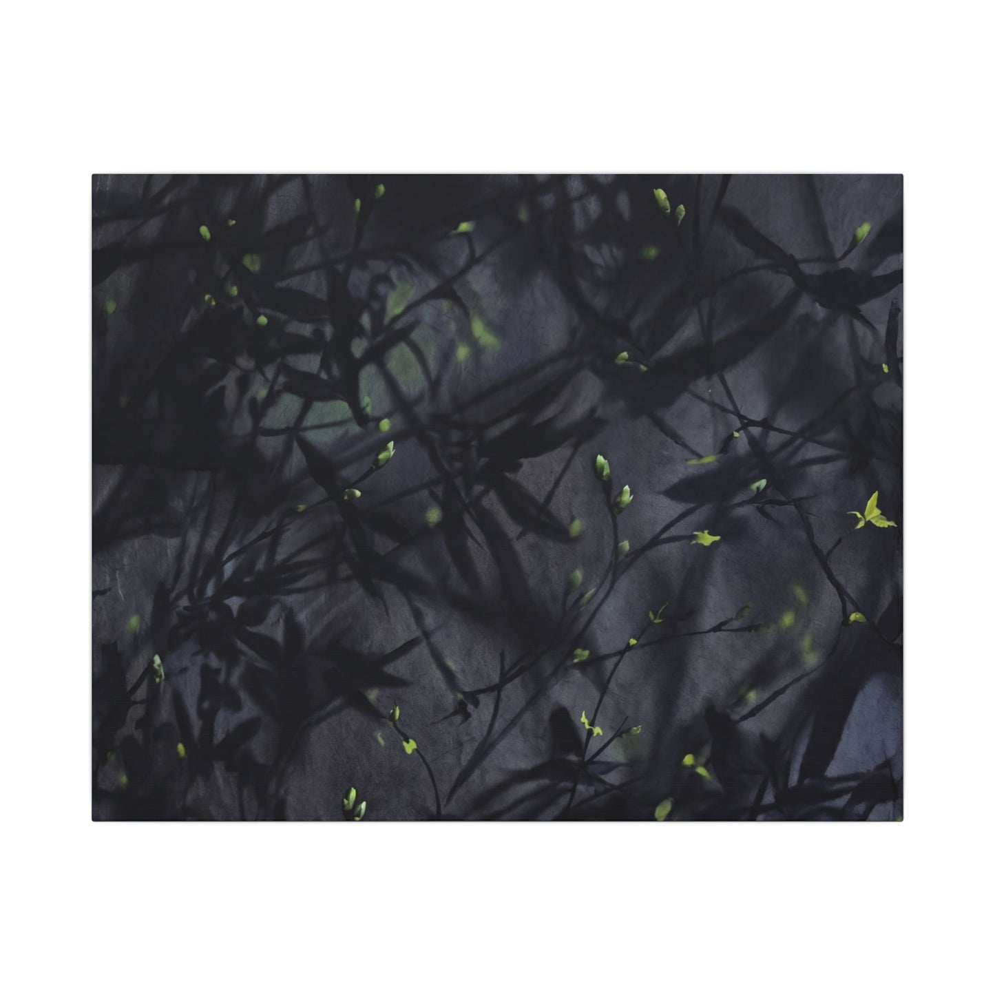 Shadow Play Spring Canvas Art | Dark Japandi Atmospheric Design