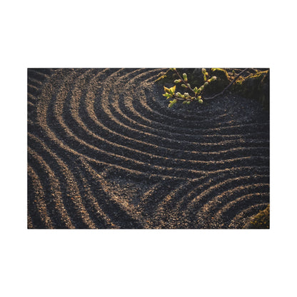 Spring Rock Garden Shadow Zen Canvas Art | Atmospheric Decor