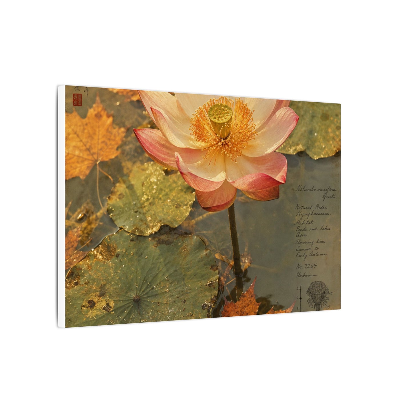 Autumn Lotus Flower Herbarium Canvas Art | Rustic Decor