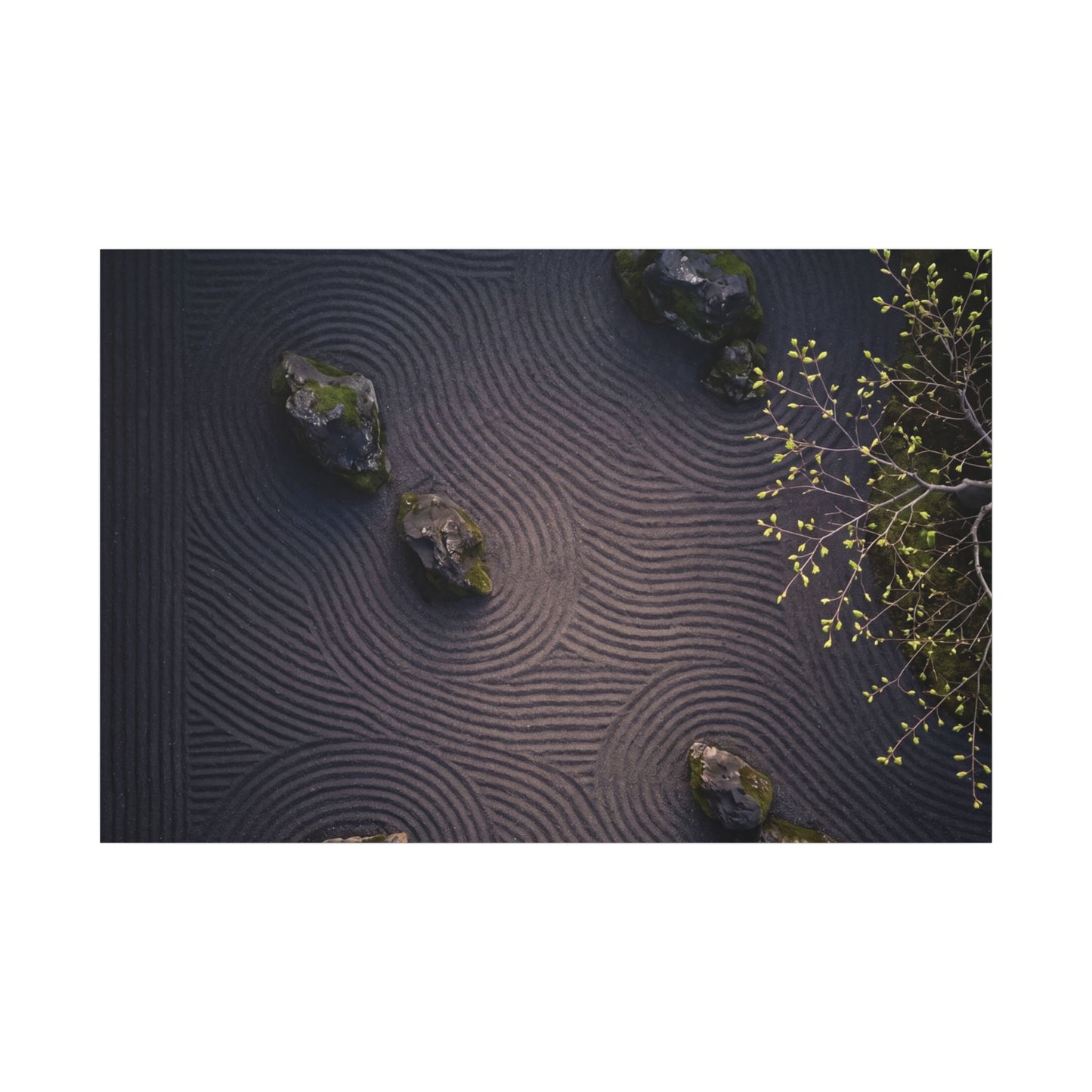 Dark Japandi Rock Garden in Dawn | Shadow Zen Canvas Art