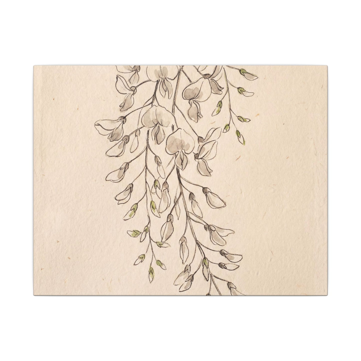 Japandi Wisteria in Golden Hour | Minimal Line Canvas Art Art Print