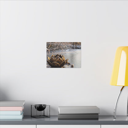 Lotus Flower Gold Repair Canvas Art | Beautiful Kintsugi Art