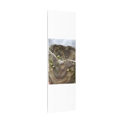 Overcast Ceramic Bowl Canvas Art - Japandi Fukinsei