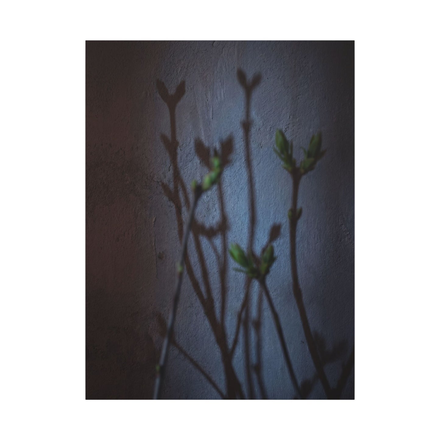 Shadow Play Spring Canvas Art | Dark Japandi Sophisticated Design