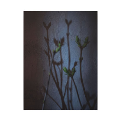 Shadow Play Spring Canvas Art | Dark Japandi Sophisticated Design