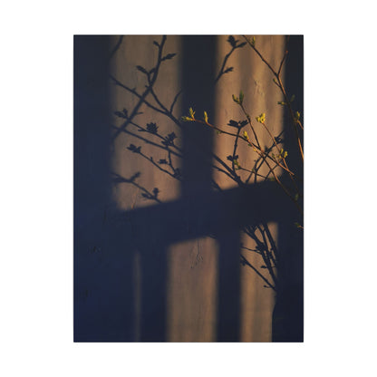 Shadow Play Canvas Art | Spring Dark Japandi Shadow Zen Art