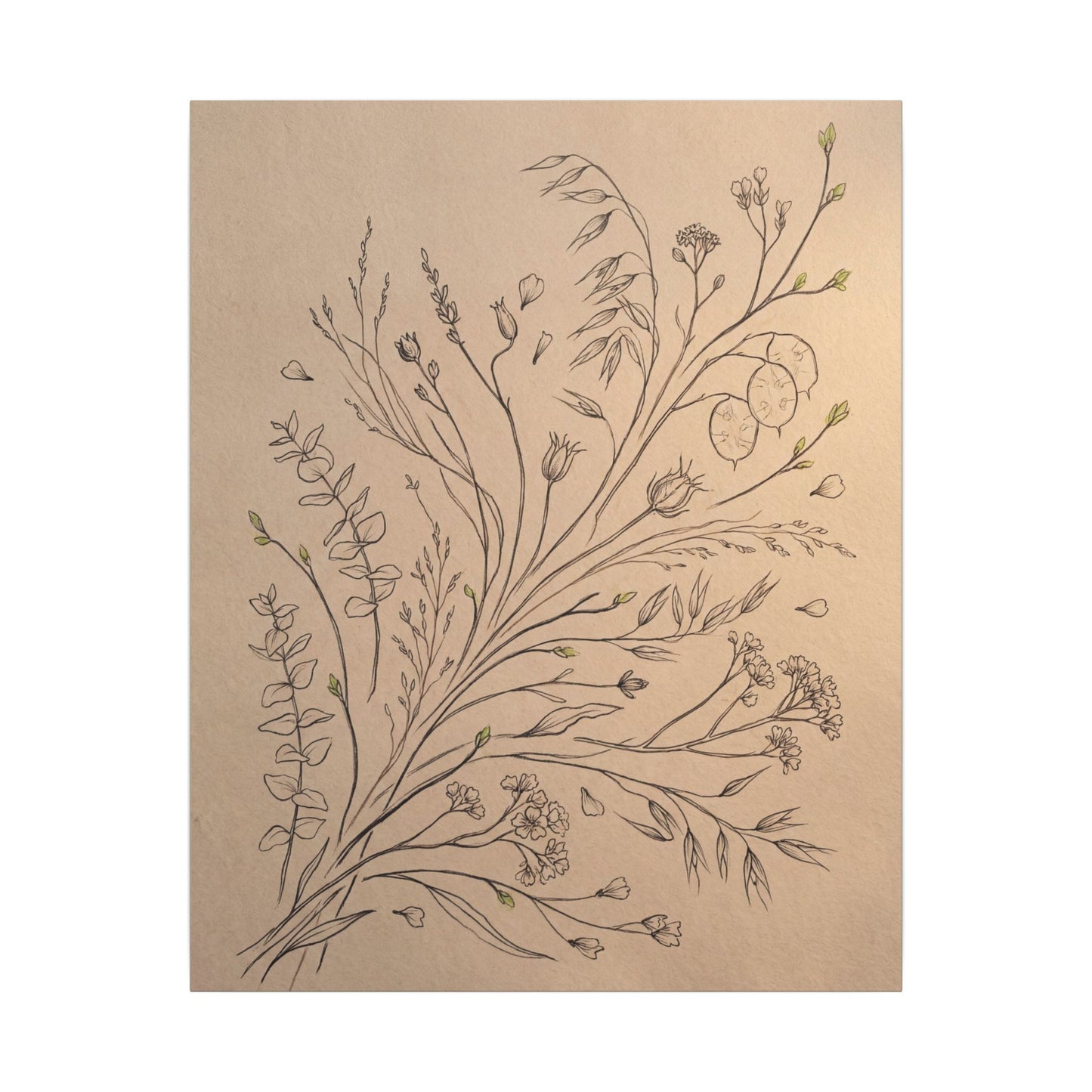 Dried Flowers Canvas Art | Spring Japandi Minimal Line Art
