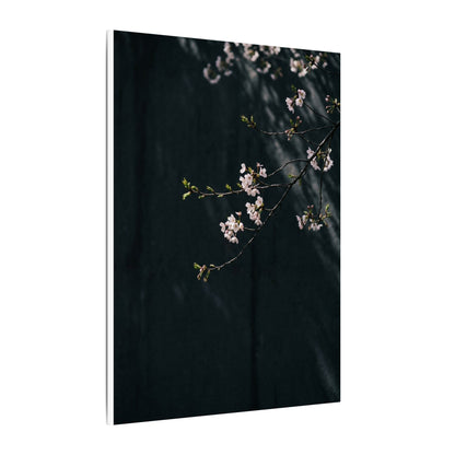 Cherry Blossom Spring Canvas Art | Dark Japandi Sophisticated Design