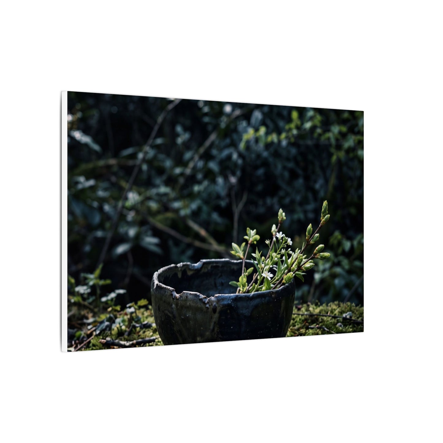 Dappled Ceramic Bowl Canvas Art - Dark Japandi Datsuzoku