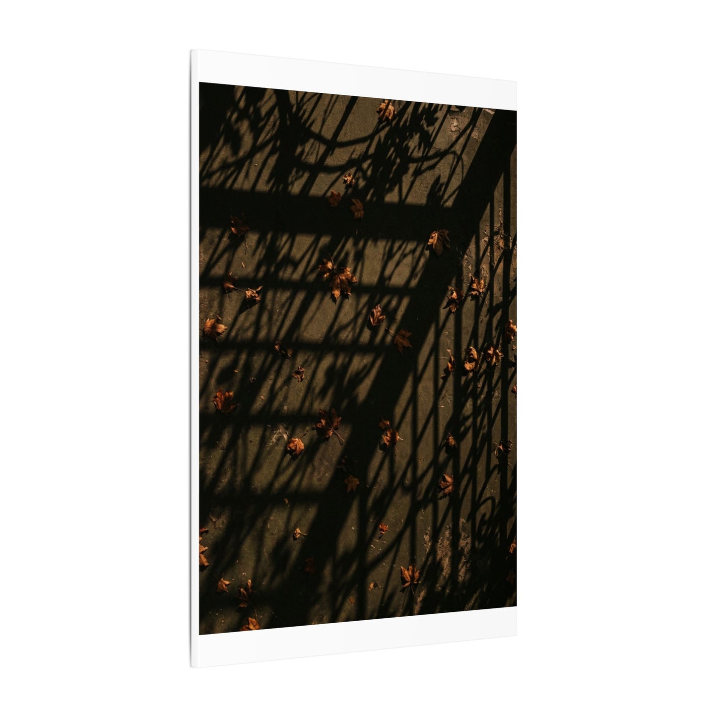 Shadow Play Canvas Art | Autumn Dark Japandi Moody Minimal Art