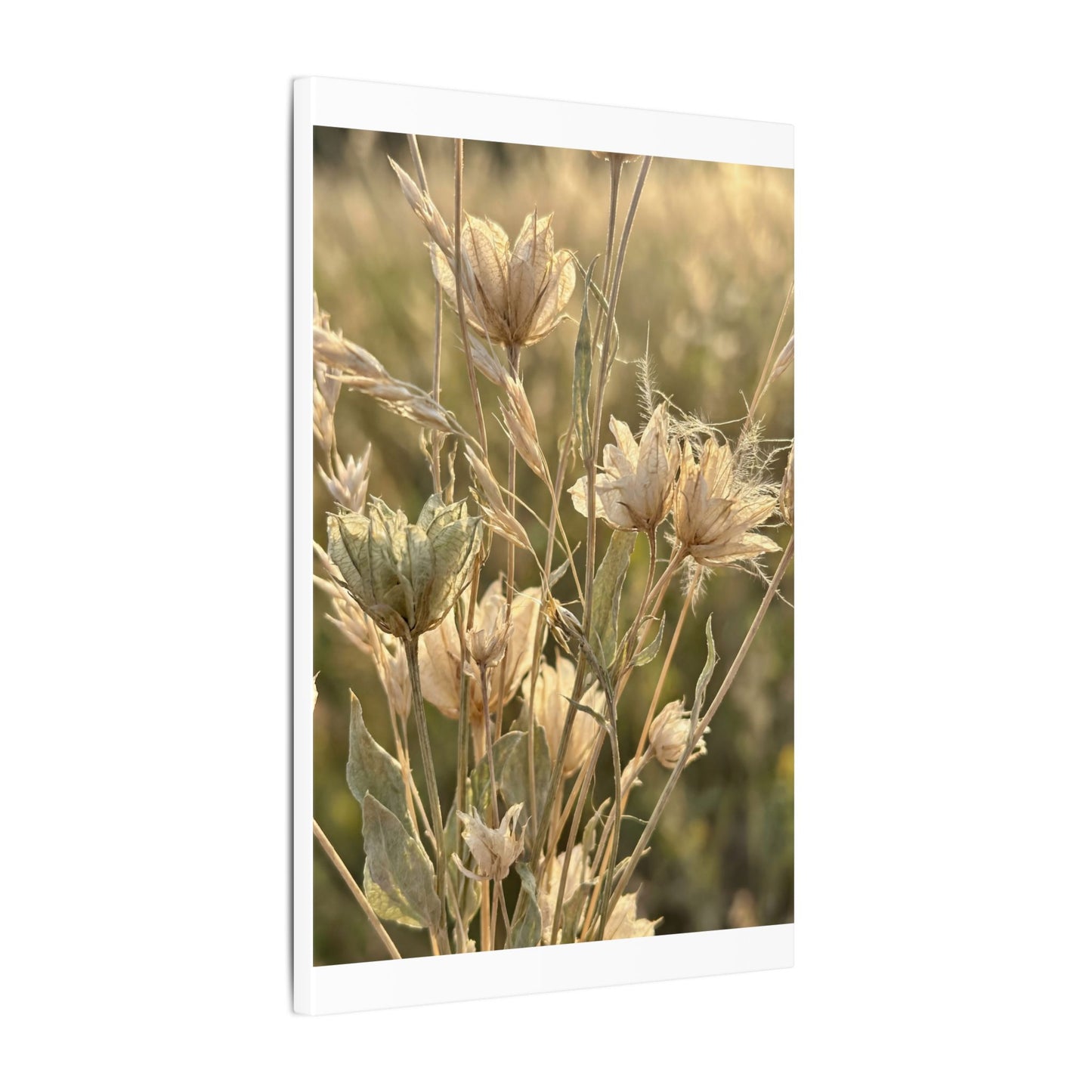 Summer Dried Flowers Minimal Line Canvas Art | Cozy Decor