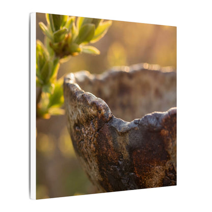Golden Hour Ceramic Bowl Canvas Art - Dark Japandi Ma