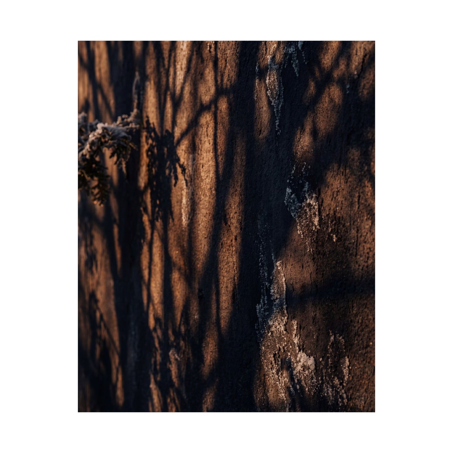 Shadow Play Wall Art Print | Winter Dark Japandi Moody Minimal Art
