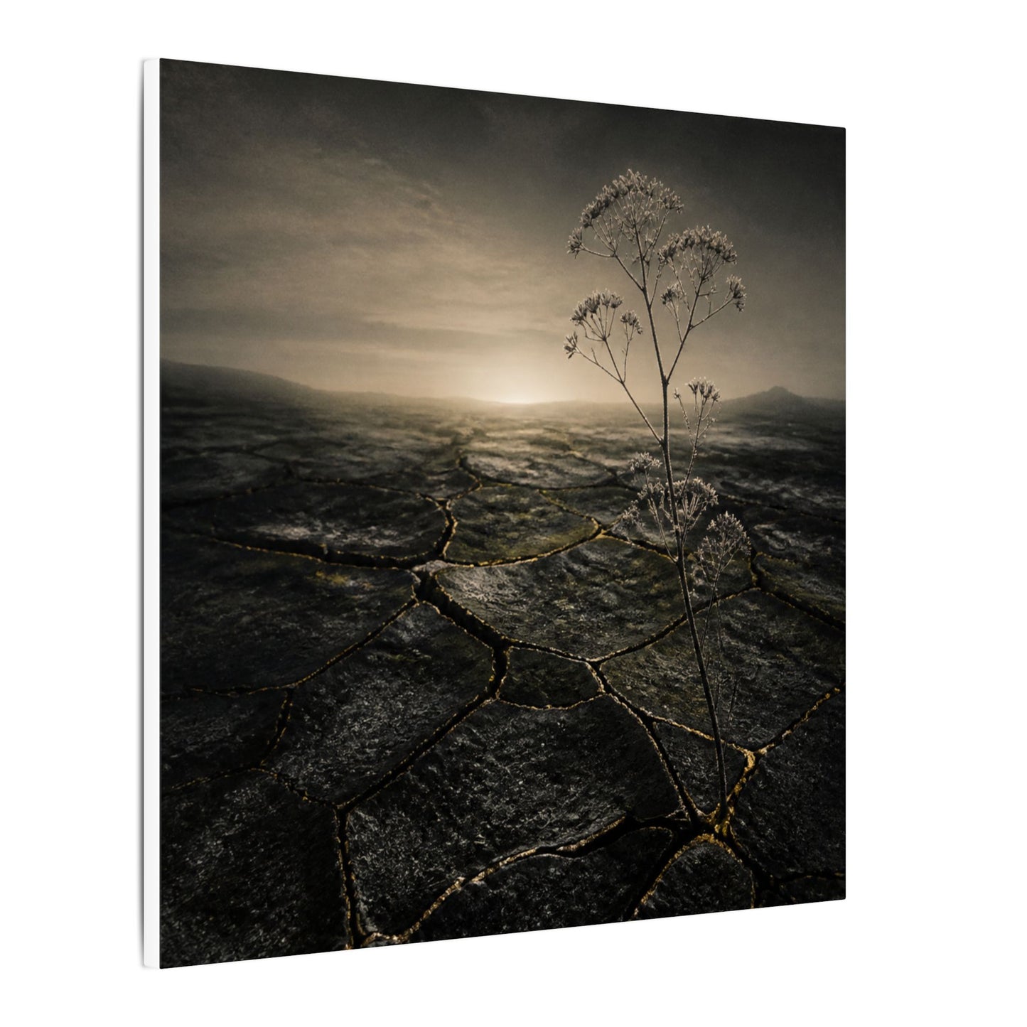 Dawn Cracked Earth Canvas Art - Dark Japandi Mono No Aware