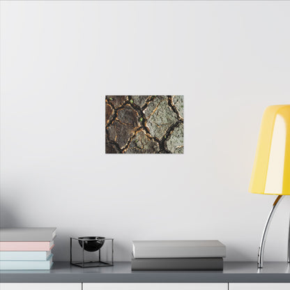 Earthy Cracked Earth Canvas Art - Japanese Pattern Japandi
