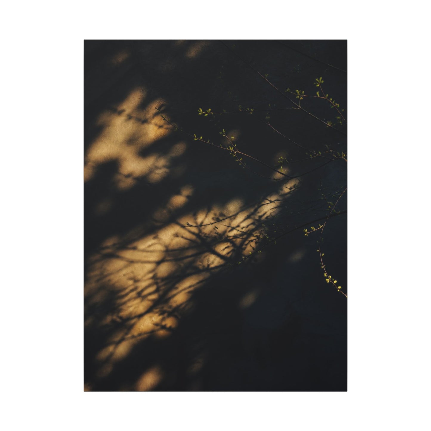 Moody Shadow Play Canvas Art - Moody Minimal Dark Japandi