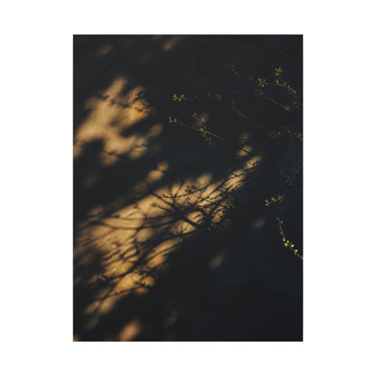 Moody Shadow Play Canvas Art - Moody Minimal Dark Japandi