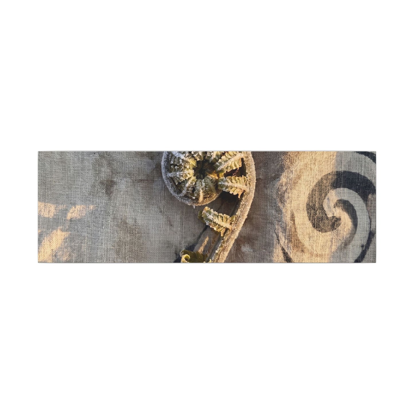 Fern Unfurling Canvas Art | Winter Japandi Japanese Pattern Art