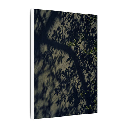 Atmospheric Shadow Play Canvas Art - Moody Minimal Dark Japandi