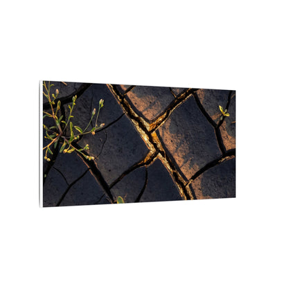 Kintsugi Cracked Earth in Golden Hour | Gold Vein Canvas Art