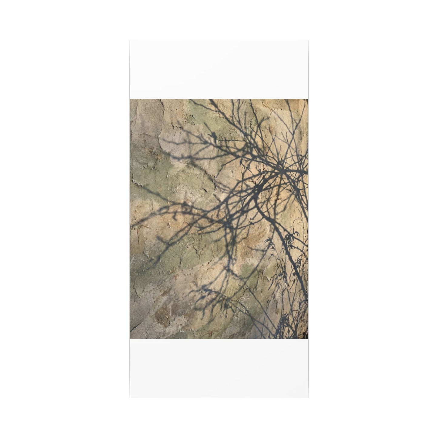 Japandi Shadow Play in Golden Hour | Texture Canvas Art