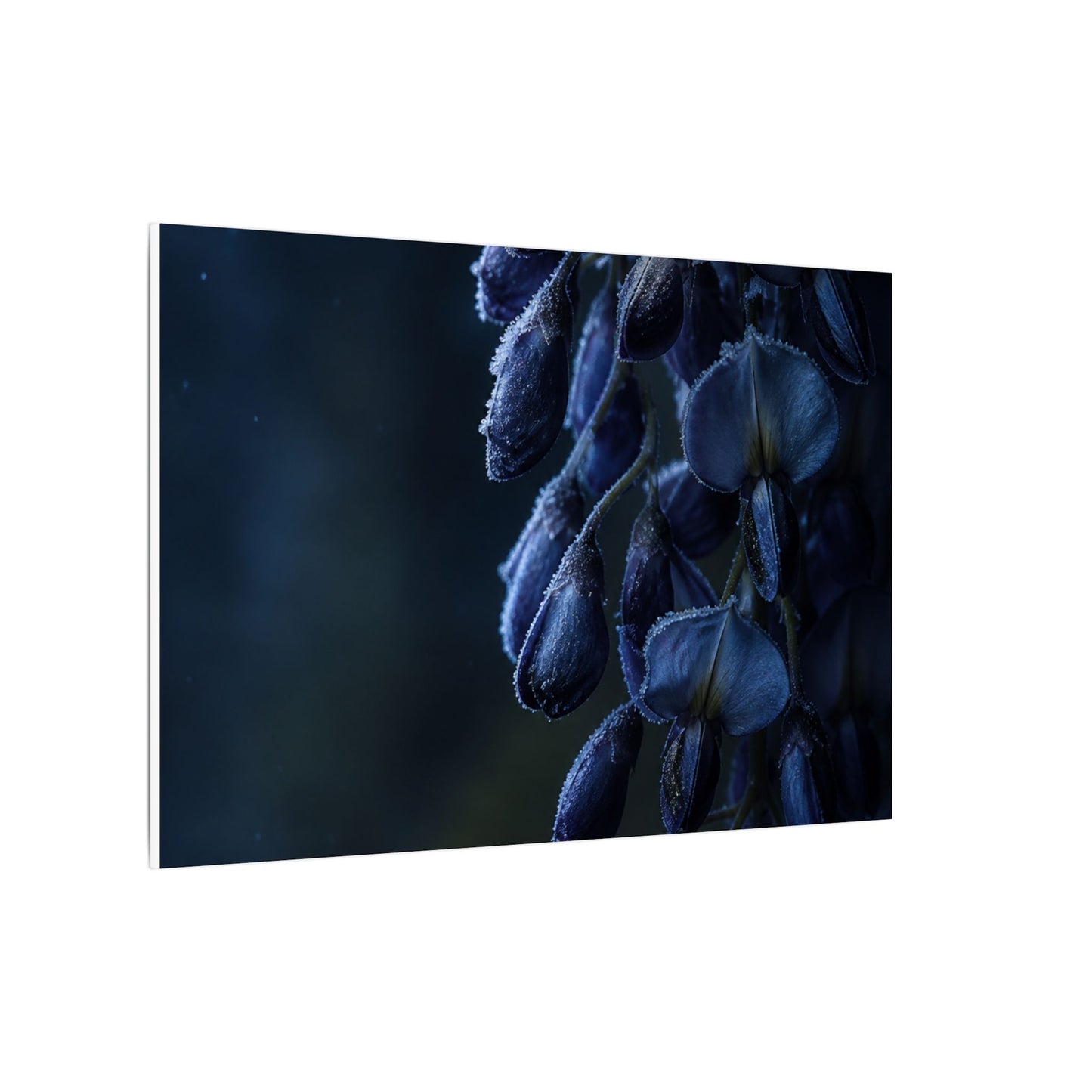 Winter Wisteria Shadow Zen Canvas Art | Atmospheric Decor