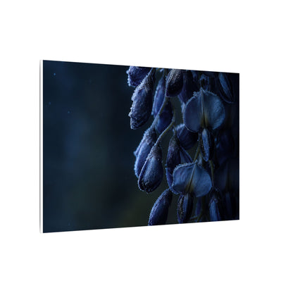 Winter Wisteria Shadow Zen Canvas Art | Atmospheric Decor
