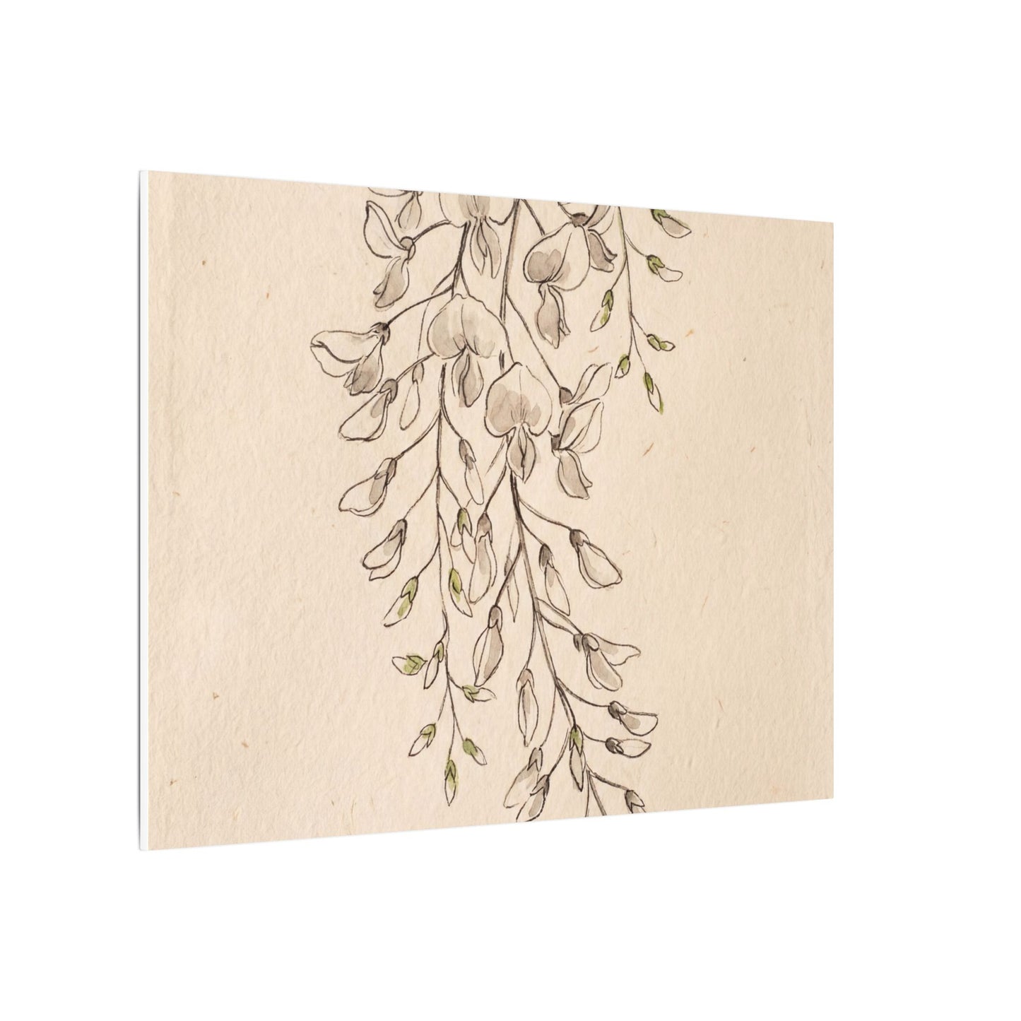 Japandi Wisteria in Golden Hour | Minimal Line Canvas Art