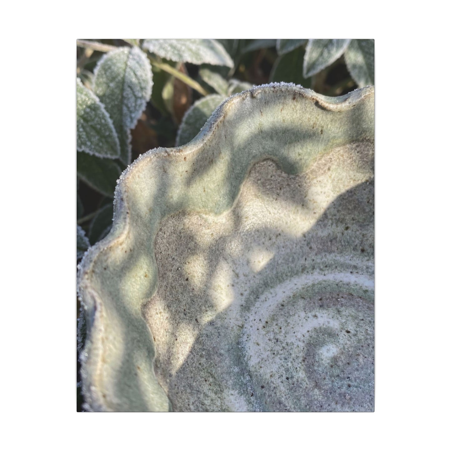 Dappled Ceramic Bowl Canvas Art - Japandi Seijaku