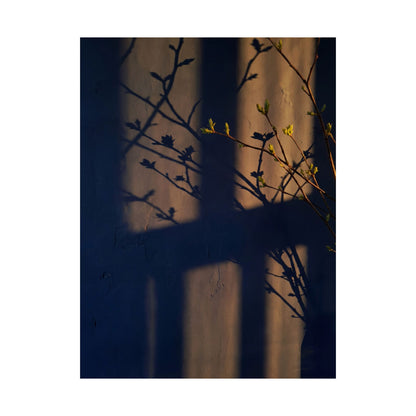 Shibui Shadow Play Wall Art Print - Dark Japandi Shadow Zen