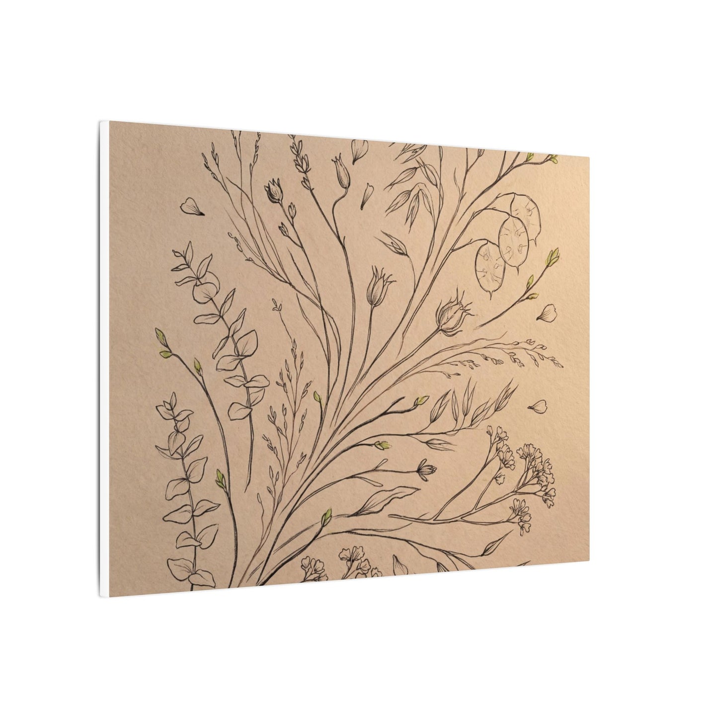 Dried Flowers Canvas Art | Spring Japandi Minimal Line Art