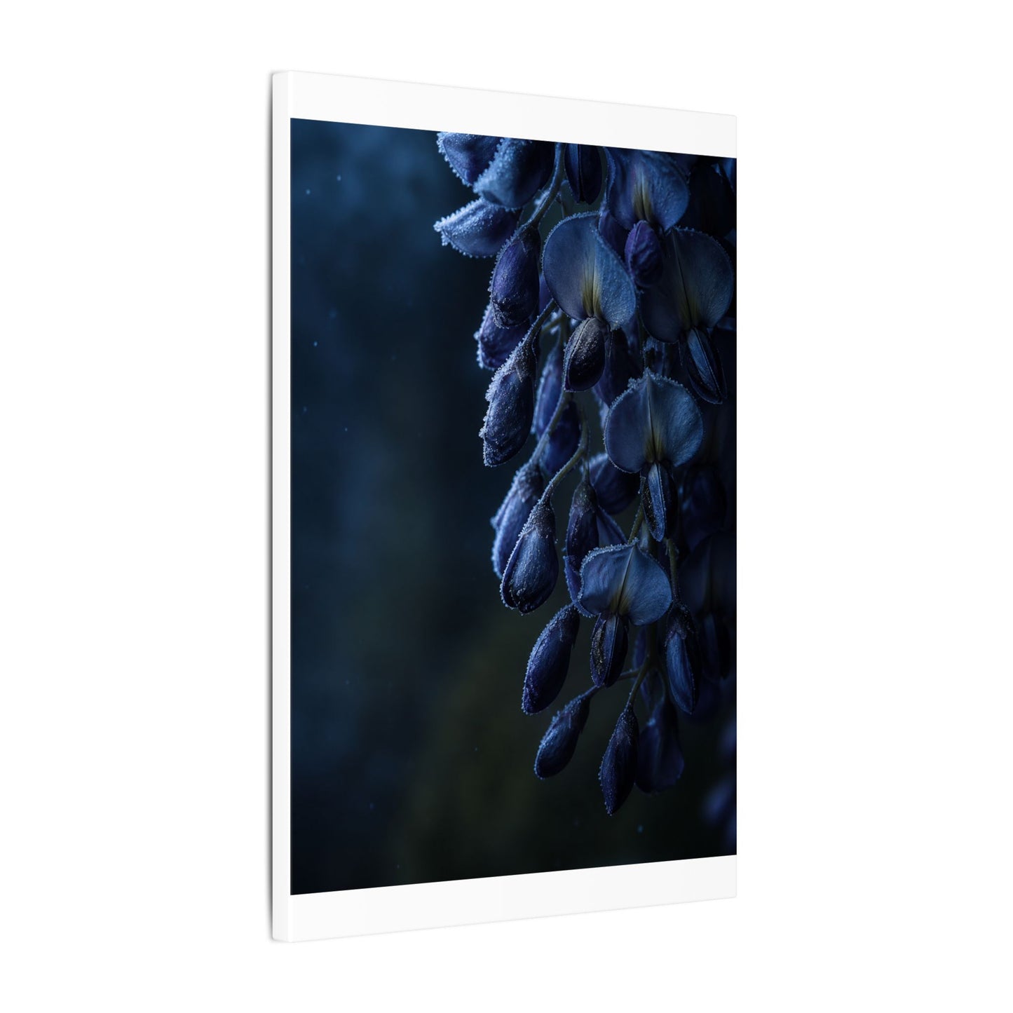 Winter Wisteria Shadow Zen Canvas Art | Atmospheric Decor