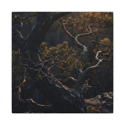 Moody Pine Tree Canvas Art - Moody Minimal Dark Japandi