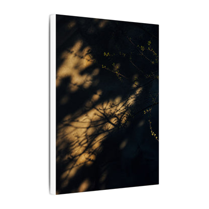 Moody Shadow Play Canvas Art - Moody Minimal Dark Japandi