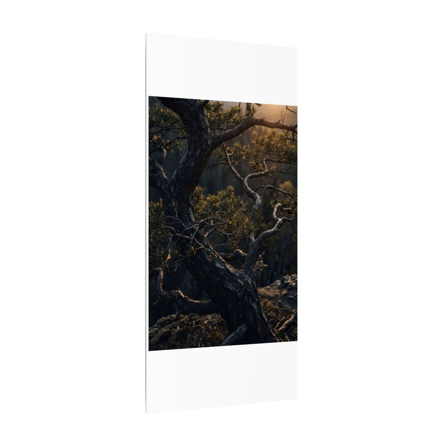 Moody Pine Tree Canvas Art - Moody Minimal Dark Japandi