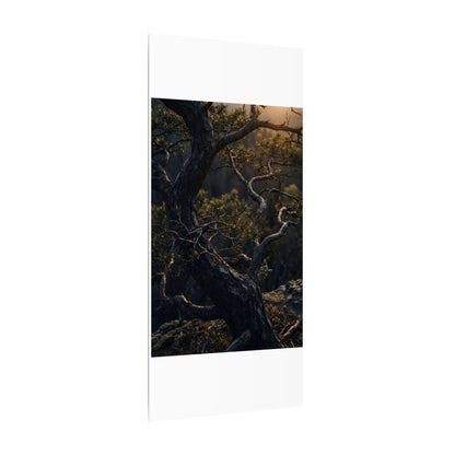 Moody Pine Tree Canvas Art - Moody Minimal Dark Japandi