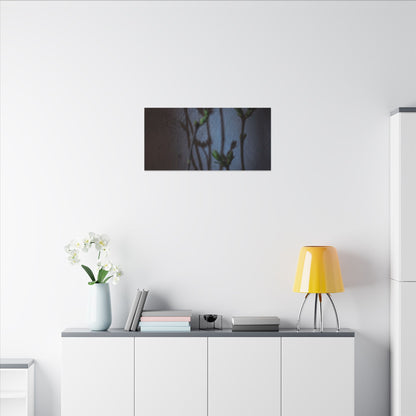 Shadow Play Spring Canvas Art | Dark Japandi Sophisticated Design