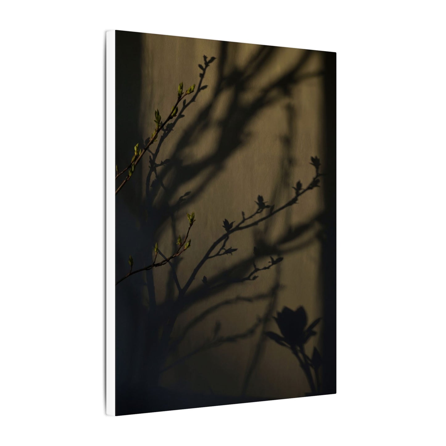 Seijaku Shadow Play Canvas Art - Dark Japandi Charcoal Ink